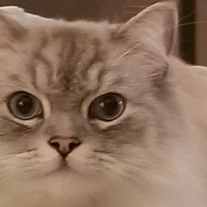 Meet your Posher, Kathi